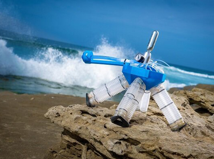 عکس ربات‌های زنده برای نجات بیماران و اقیانوس‌ها