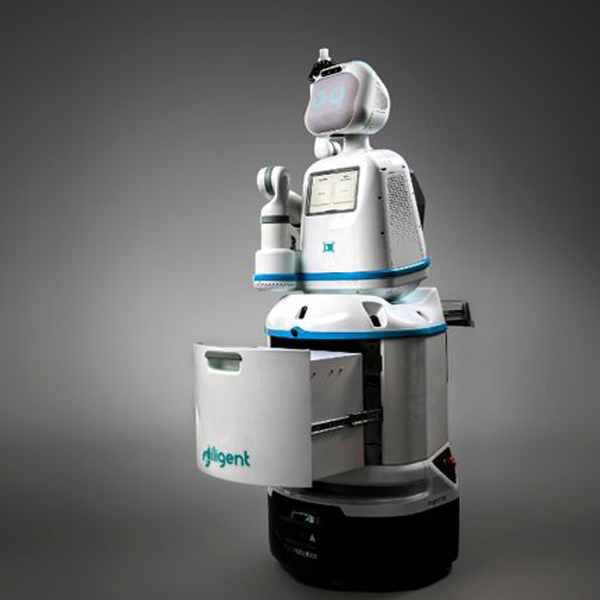 عکس ربات‌های زنده برای نجات بیماران و اقیانوس‌ها